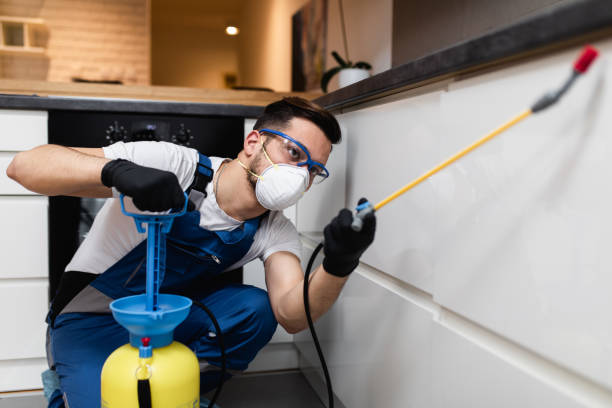 Best Residential Pest Control  in Morehead City, NC