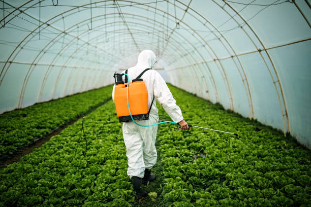 Best Affordable Pest Control Services  in Morehead City, NC